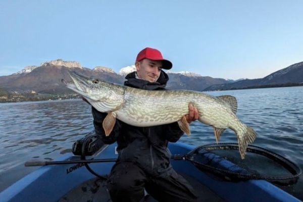 Un bel luccio su un lago alpino