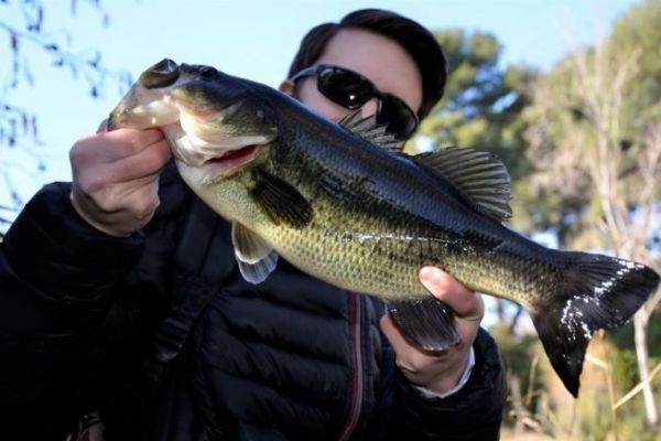 Pesca al black bass in inverno