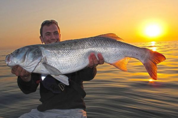 Guillaume Fourrier: Ricollegarmi alla mia passione diventando  istruttore-guida di pesca