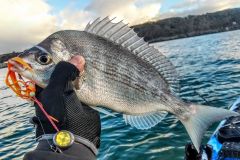 Adattamento alle nuove normative sulla pesca