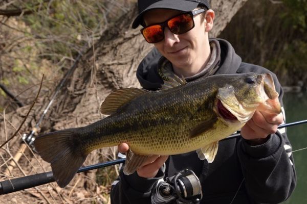 Pesca al black bass in primavera, le zone giuste e le esche giuste