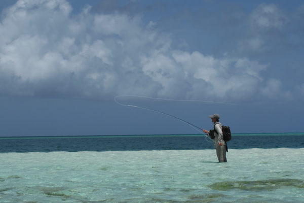 Imparare a lanciare bene a lunga distanza nella pesca a mosca