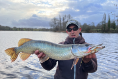 L'autunno  spesso un buon periodo per la pesca a mosca del luccio