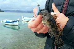 Introdurre qualcuno alla pesca: consigli per il successo