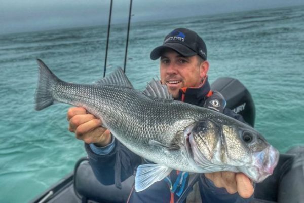 Minnow - Set 5 Esche Da Pesca Crankbait 0,5g - Colori Vivaci Per Trota, Spigola, Persico - Pesca In Torrente E Lago