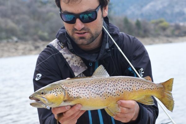 Pesca alla trota con esche artificiali morbide: cosa comporta?