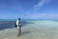 L'arcipelago di Los Roques  una delle destinazioni pi esotiche del mondo