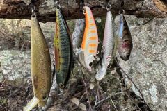 Pesci da bagno per l'apertura della pesca alla trota