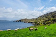 L'Irlanda è una destinazione da sogno per gli appassionati di pesca