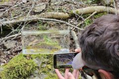 Utilizzare un nano acquario per la pesca