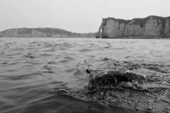 Pesca alla spigola su sciacquoni