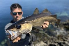 La pesca del merluzzo da riva  eccezionale in Irlanda.