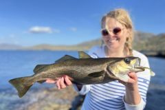 Uno sguardo indietro ad alcuni dei migliori momenti di pesca del nostro soggiorno in Irlanda