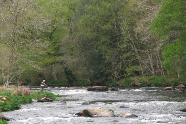 Fly: le basi dello Spey Casting