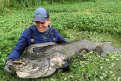 Pesca al pesce gatto con il rompigetto