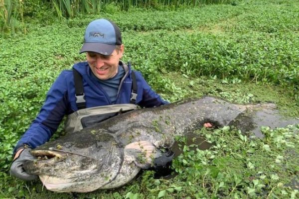 Pesca al pesce gatto con il rompigetto