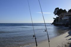 L'estate  una buona stagione per il surfcasting