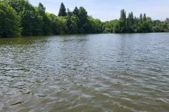 L'Erdre, un affluente della Loira