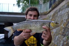 Pesca al cavedano in estate