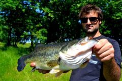 Pesca in superficie in estate