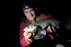 Pesca alla spigola di notte