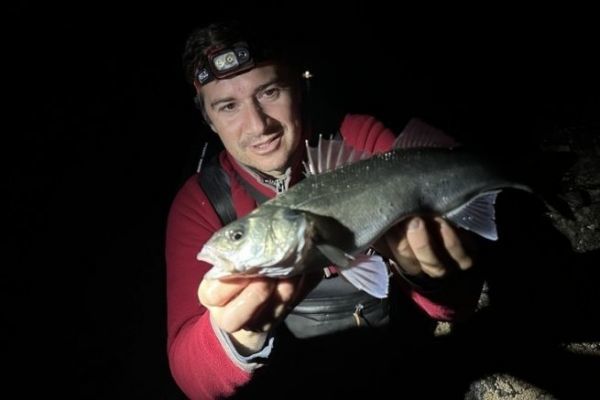Pesca alla spigola di notte