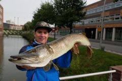 Pesca al luccio nei polder