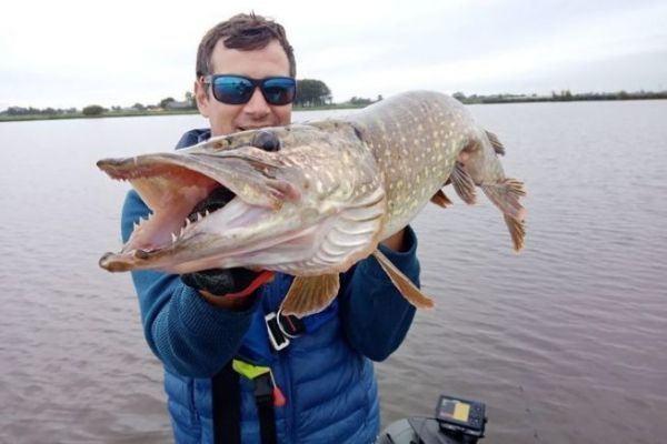 Pesca del luccio nei polder olandesi, le 5 esche migliori