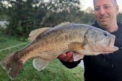 Pesca al black bass
