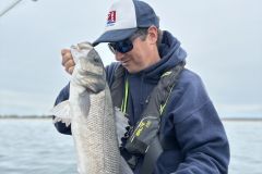 Battuta di pesca alla spigola