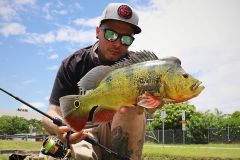 Street fishing e peacock bass, a Miami  possibile!