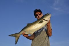 Pesca con il vivo nel Mediterraneo