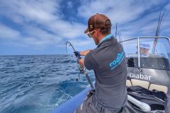 La stagione di pesca del tonno rosso 2025  in pieno svolgimento.