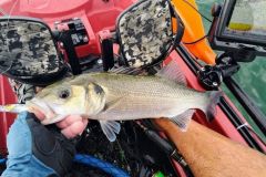 Pesca a Pornichet