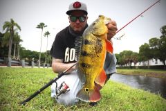 Lo street fishing a Miami  fuori dai sentieri battuti!