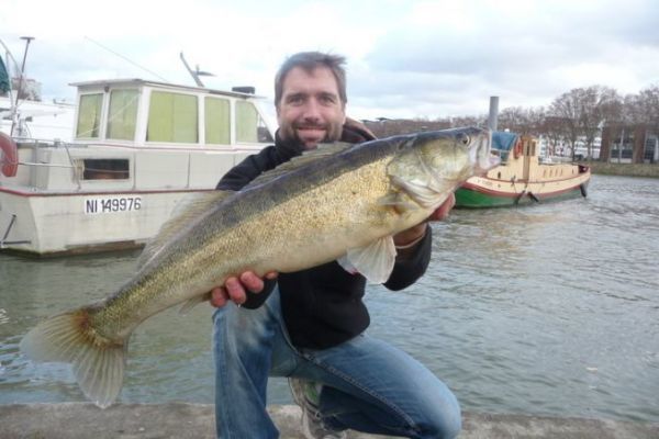 Luoghi di pesca: ammortizzazione della corrente in fiumi e torrenti