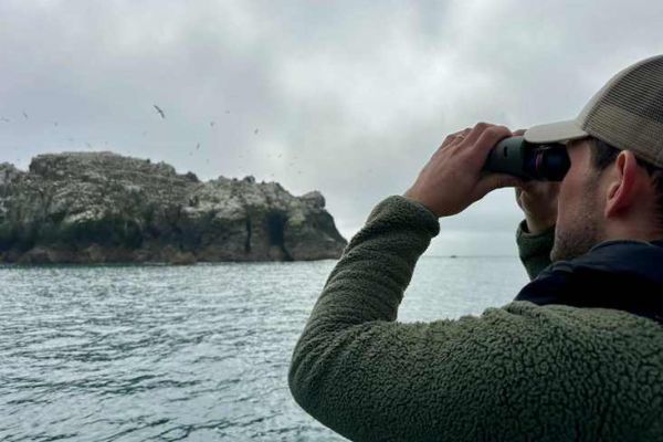 L'uso di un binocolo stabilizzato  diventato comune per i pescatori di tonni abituali. Provarli significa rendersi conto della loro importanza