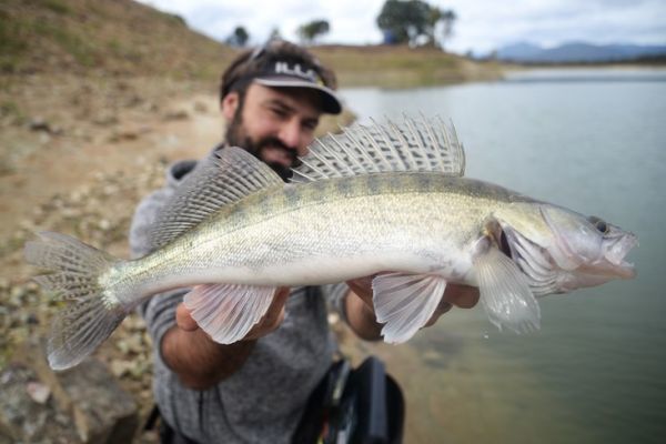 Pesca al luccioperca da riva