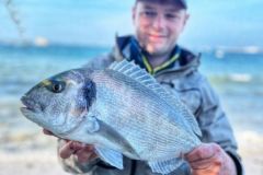 Una bella orata pescata su una spiaggia riparata del Finistère settentrionale