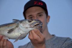 Consigli per la pesca del nasello