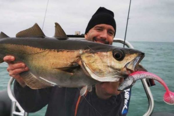 Determinazione del colore dell'esca