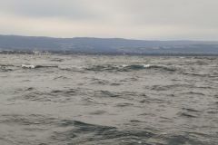 L'influenza della luna sulla pesca in mare