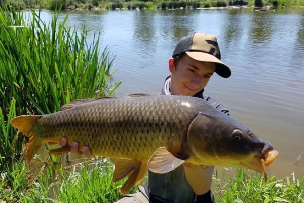 Esche per la pesca alla carpa
