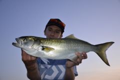 Dove posso trovare tassergal?