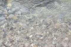 Ripristino dei fiumi