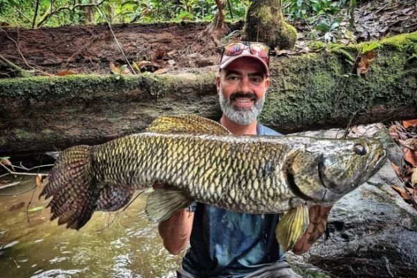 La pesca dell'aimara in Amazzonia: comportamento e tecnica