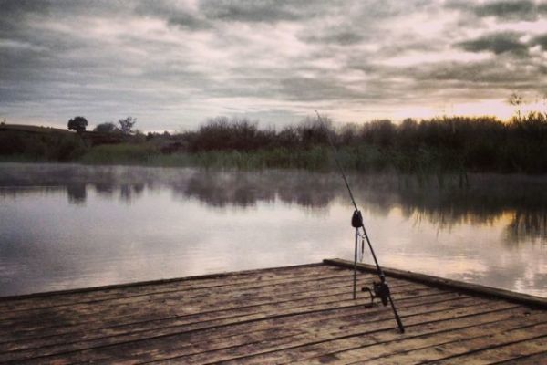 Pesca alla carpa Koi in terra Maori: attrezzatura e spot