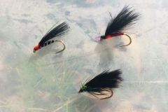 I cormorani sono vere e proprie calamite per le trote!