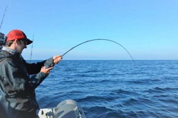 Dichiarazione per la pesca ricreativa in mare 2026: chi e come?