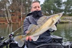 Dove cercare il luccioperca?